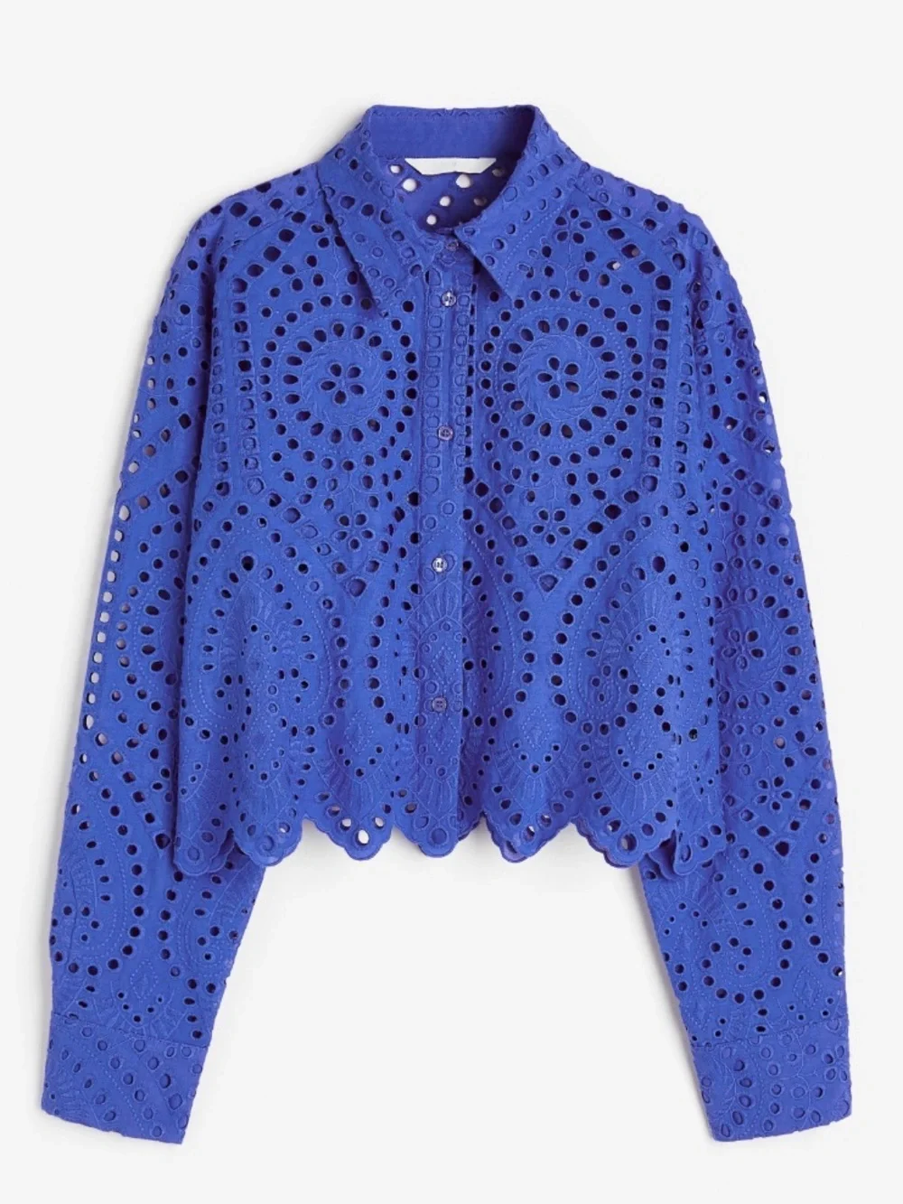 Eyelet Embroidered Button-Front Shirt